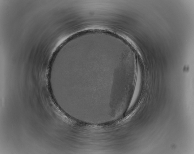 X0000090860783200707271227