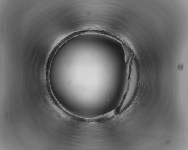 X0000090860784200707271227