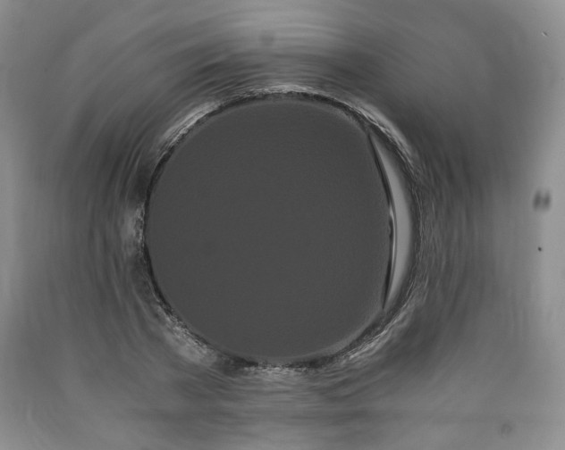 X0000090860785200707271227
