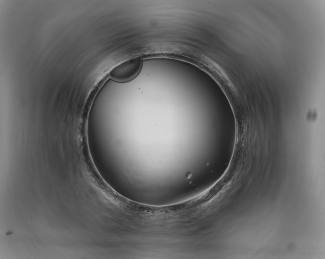 X0000090860786200707271227