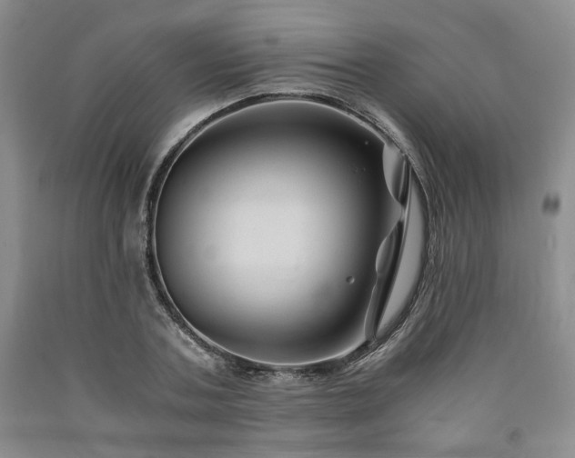 X0000090860787200707271227
