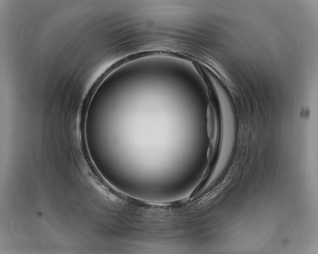 X0000090860788200707271227