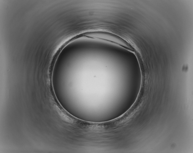 X0000090860789200707271227