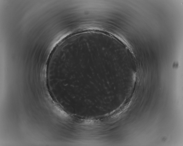 X0000090860790200707271227