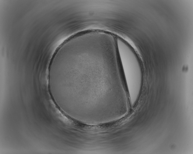 X0000090860791200707271227