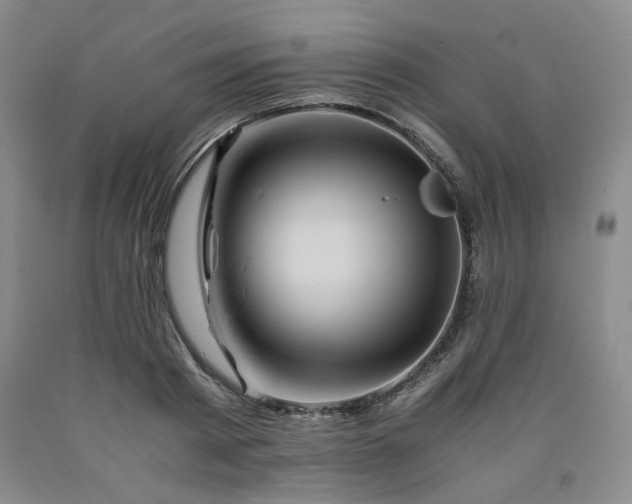 X0000090860793200707271227