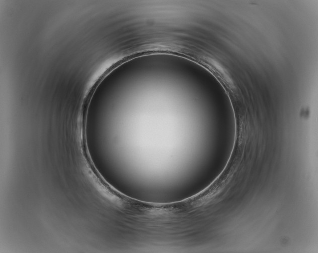 X0000090860796200707271227