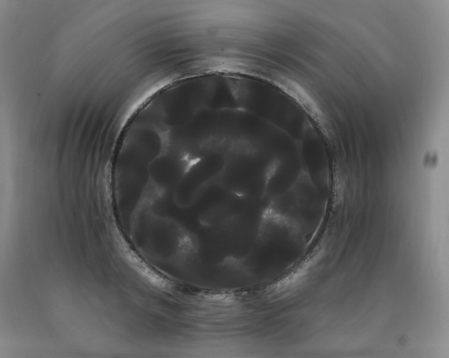 X0000090860798200707271227