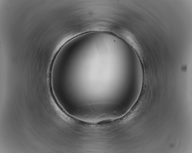 X0000090860803200707271227