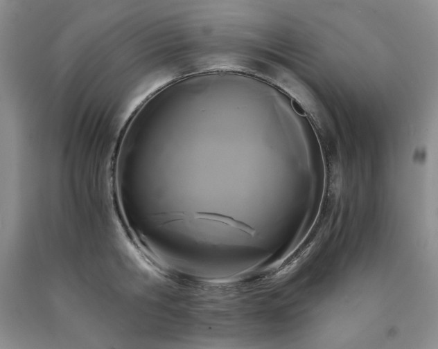 X0000090860806200707271227