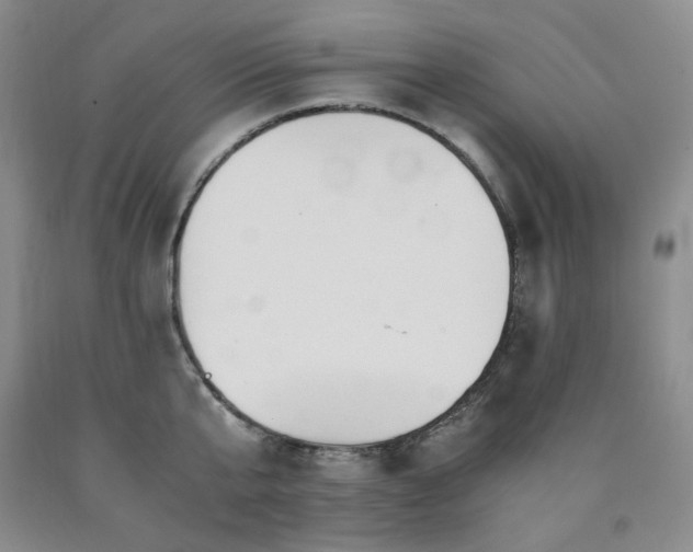X0000090860807200707271227