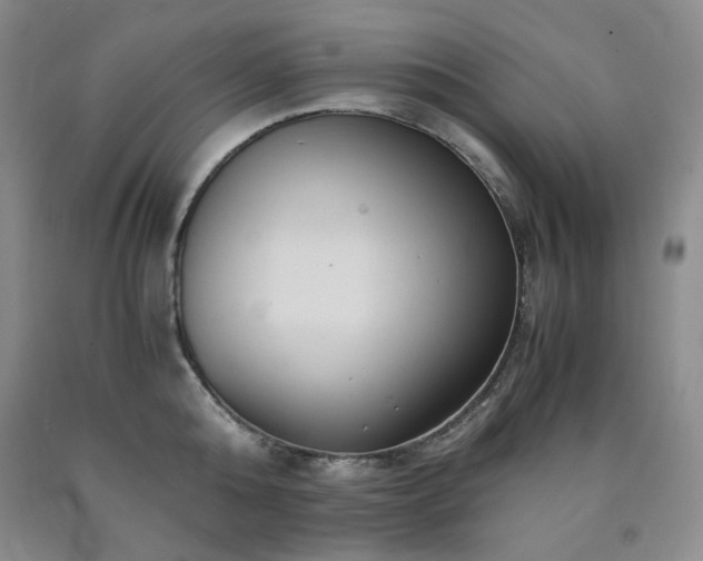 X0000090860808200707271227