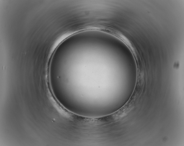 X0000090860811200707271227