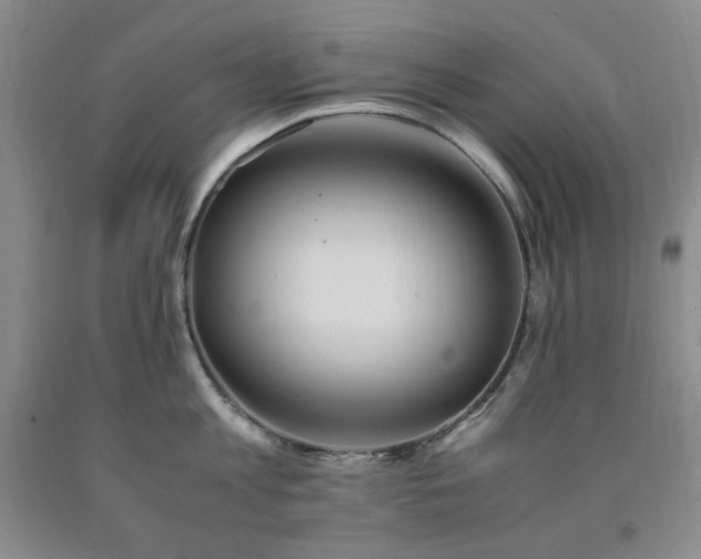 X0000090860813200707271227