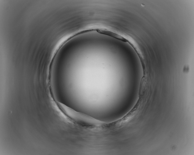 X0000090860815200707271227