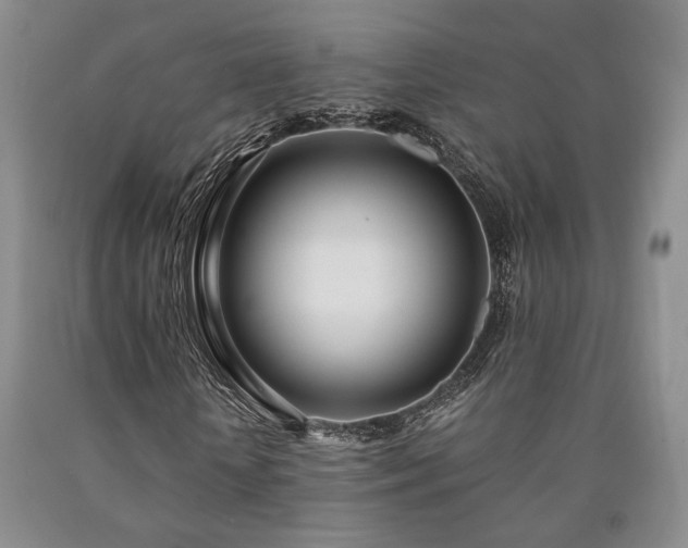 X0000090860818200707271226