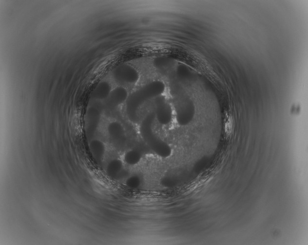 X0000090860819200707271226