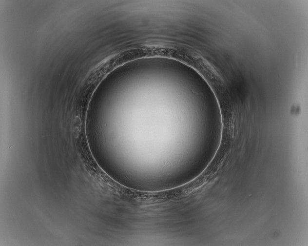 X0000090860821200707271226