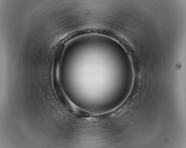 X0000090860822200707271226