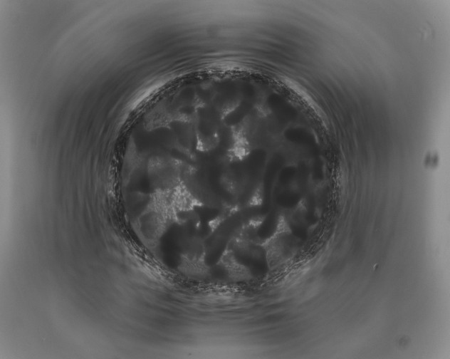 X0000090860823200707271226