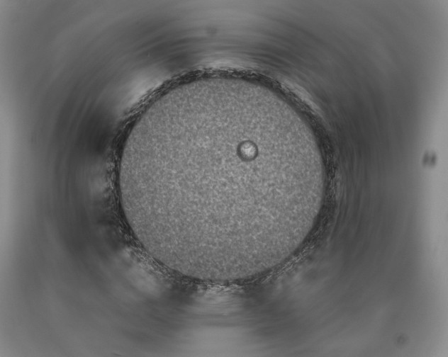 X0000090860824200707271226