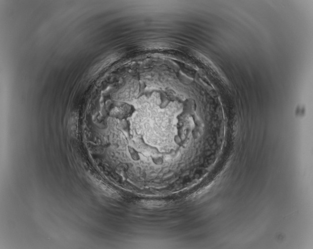 X0000090860825200707271226