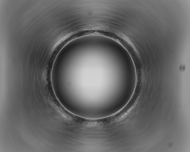 X0000090860826200707271226