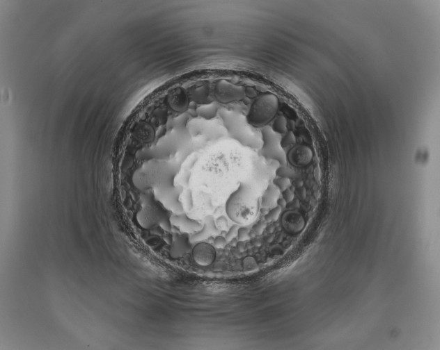 X0000090860829200707271226