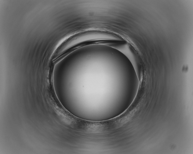 X0000090860830200707271226