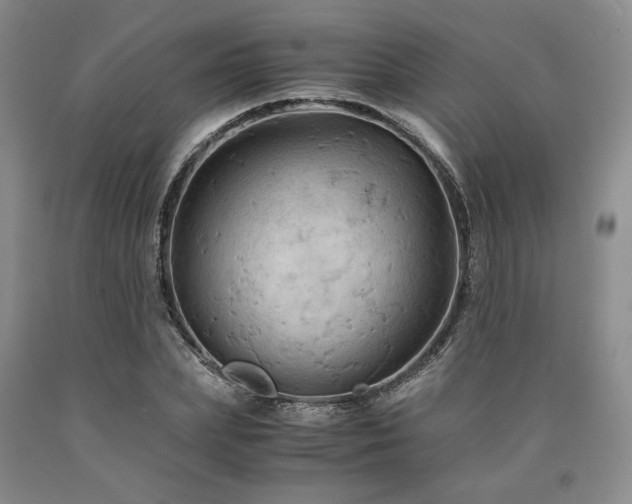 X0000090860831200707271226