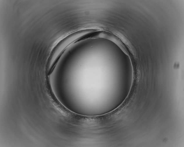 X0000090860834200707271227