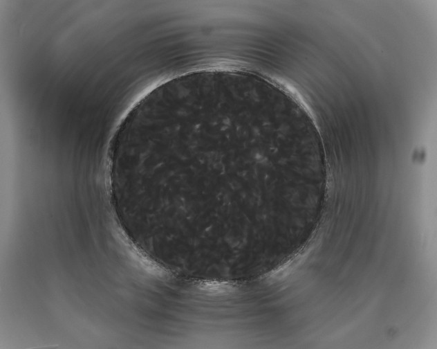 X0000090860835200707271227
