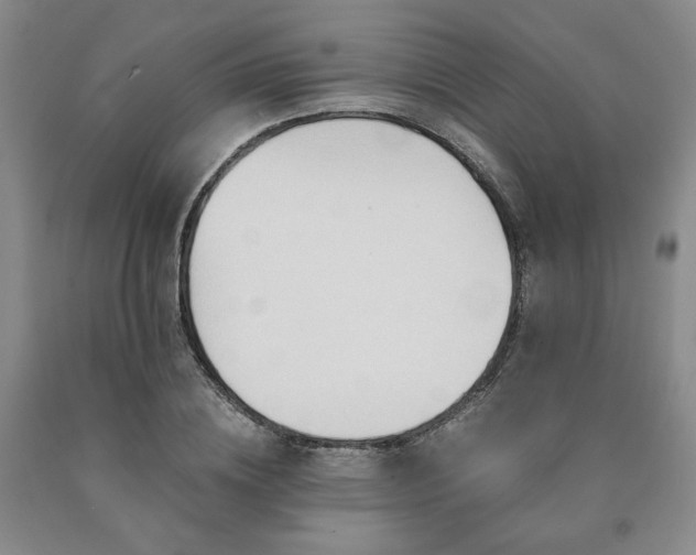 X0000090860836200707271227