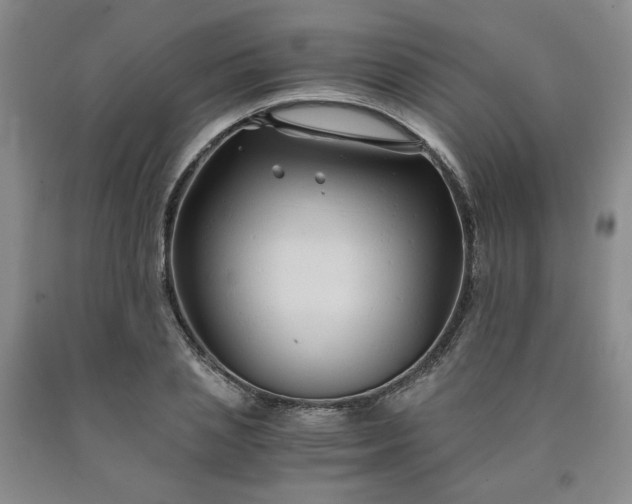 X0000090860837200707271227