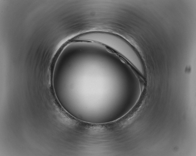 X0000090860838200707271227