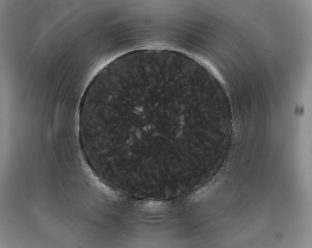 X0000090860839200707271227