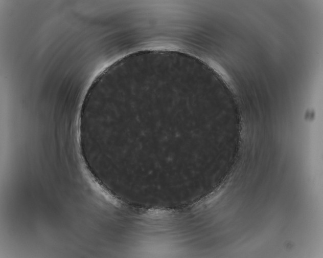 X0000090860840200707271227