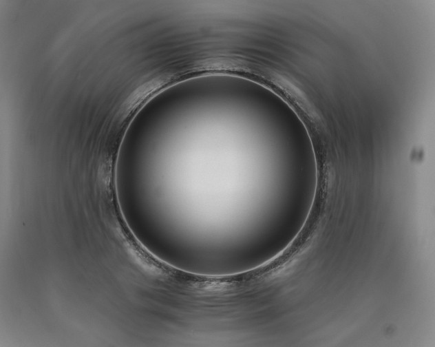 X0000090860841200707271227