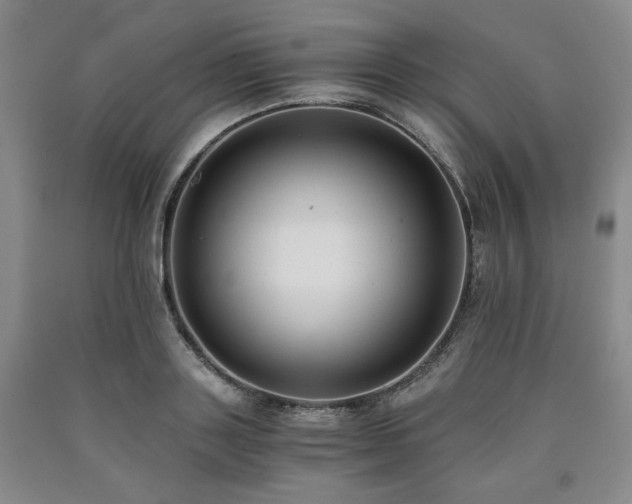 X0000090860843200707271227
