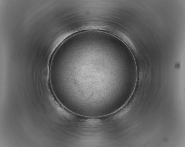 X0000090860844200707271227