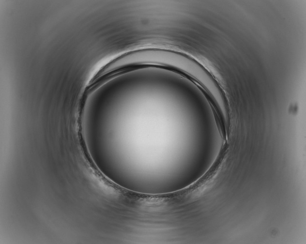 X0000090860846200707271227