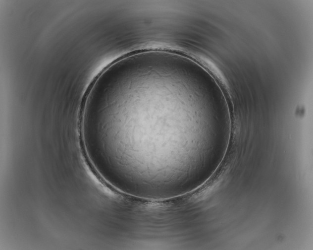 X0000090860847200707271227