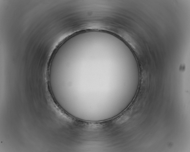 X0000090860848200707271227