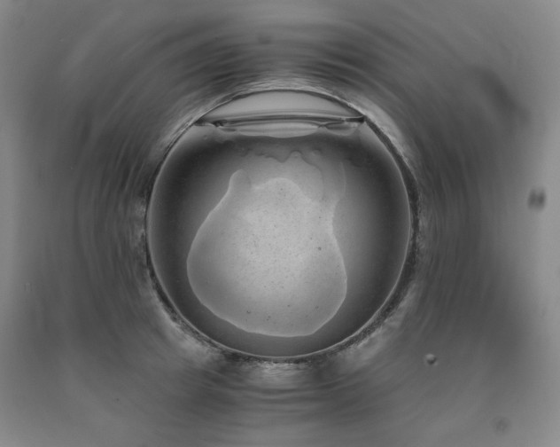 X0000090860849200707271227