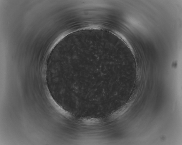 X0000090860851200707271227