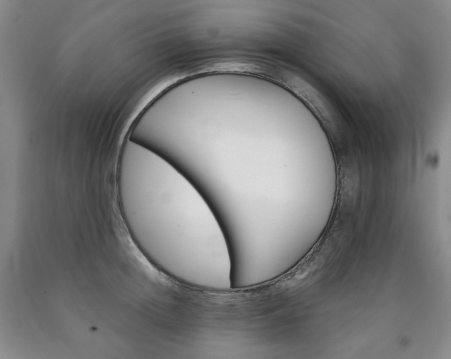 X0000090860852200707271227