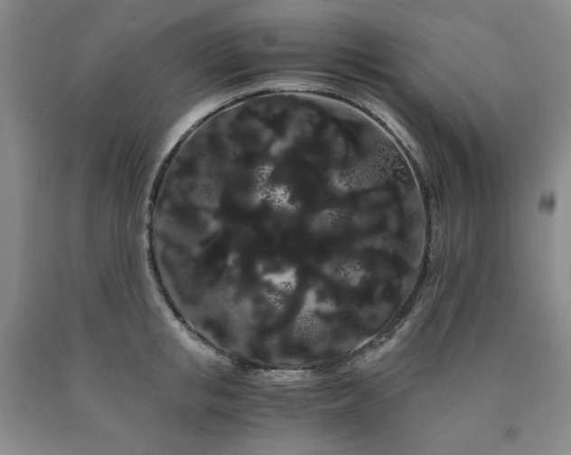 X0000090860853200707271227