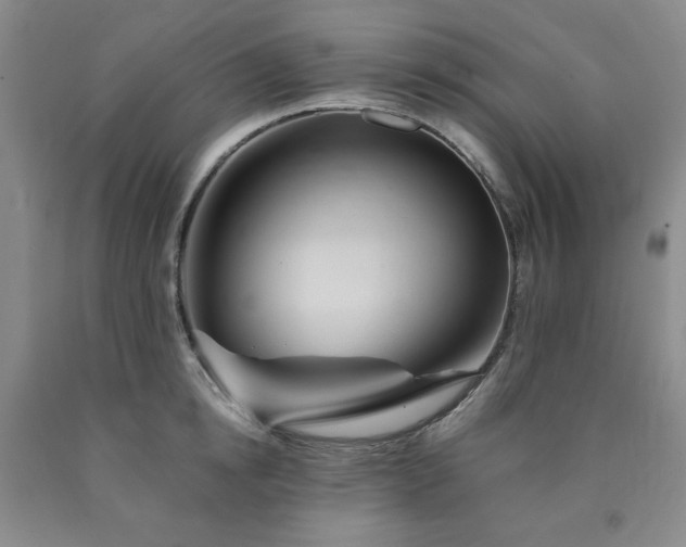X0000090860854200707271227