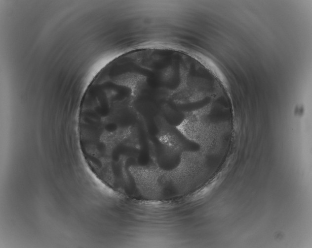 X0000090860855200707271227