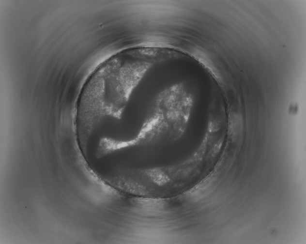 X0000090860856200707271227